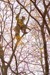 Berkshire Botanical Garden