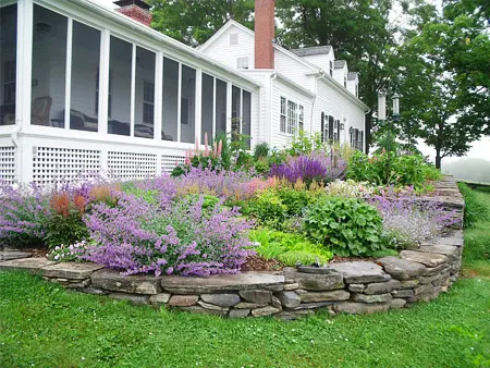 The catmint, salvia, and early astilbe can be a great combination of textures and soft colors. Notice the depth of the bed. It is far deeper than a conventional 'foundation planting' allowing a generous path that bisects it giving a person access to maintain the bed or just to stroll through and enjoy.