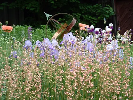 Drifts Flowers Landscape Designer