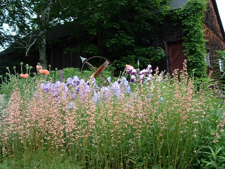 Garden Flowers Herbs Landscaper