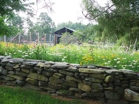 Gardens Wildflower Meadow Stonewalls Landscape