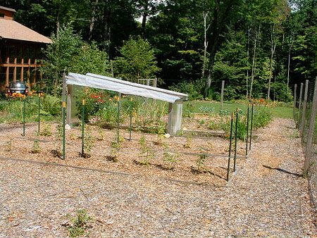 This wire trellis is used to help protect newly planted raspberries. Certified horticulturalist used on organic fertilizer and compost to bring this low maintenance garden to life.