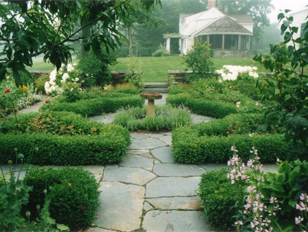 A view of the birdbath enclosed by the calm, smooth balance of the surrounding shrubbery and flora.