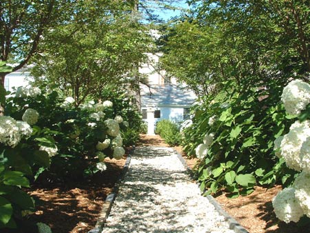 Pictured here, the French formal walkway is flanked by hydrangeas and cherry trees.