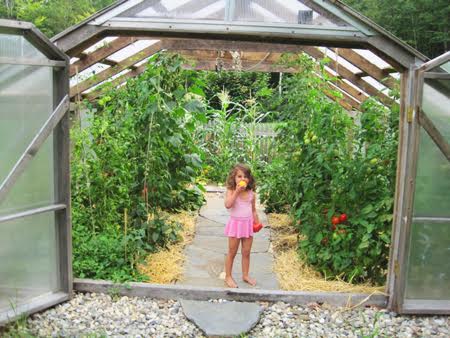 Tomato Girl Greenhouse Walkway