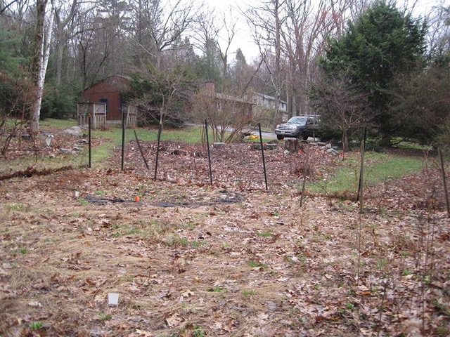 The area before planting.