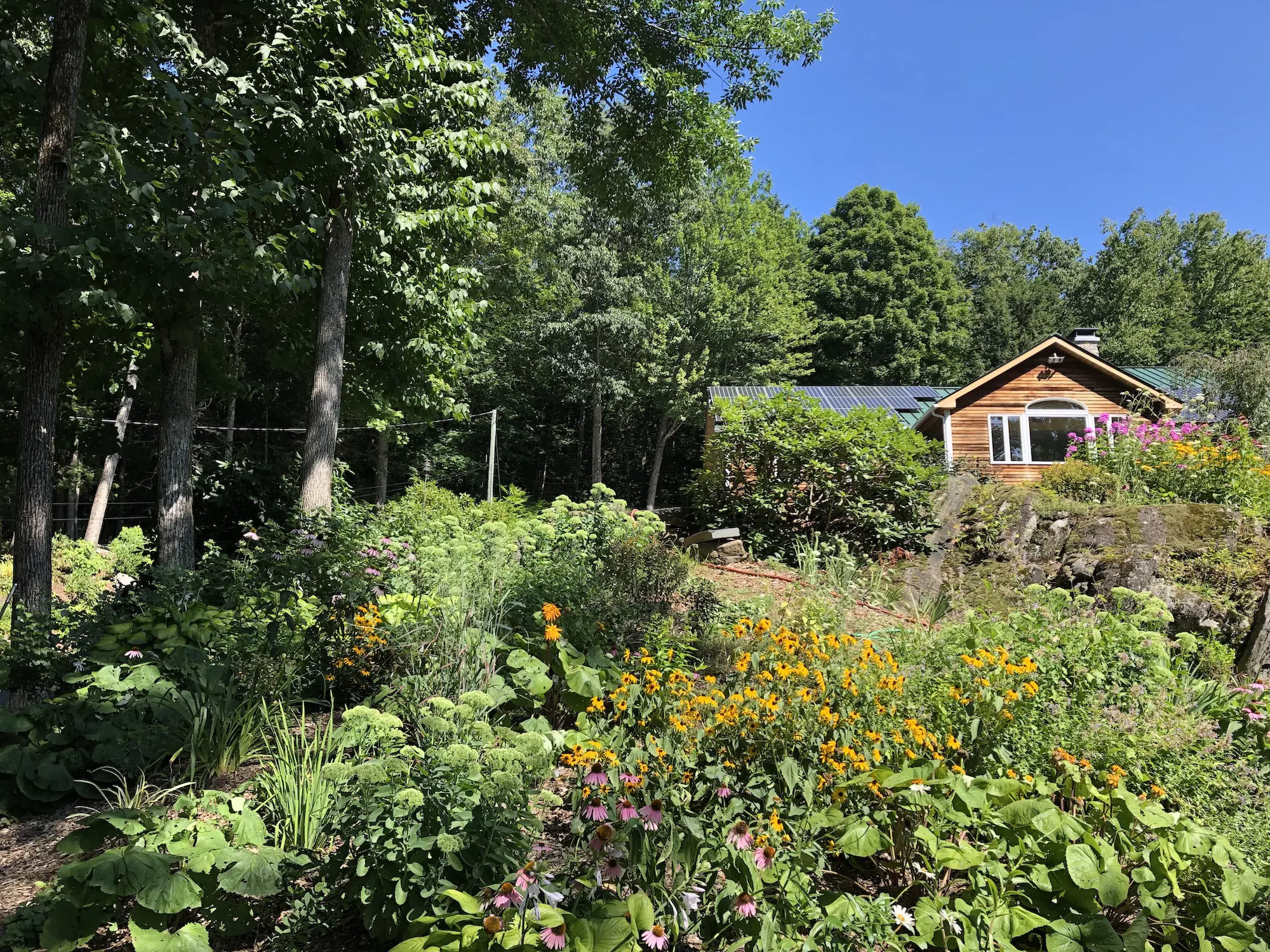 Horticulture And Landscaping | Hilltown Tree & Garden