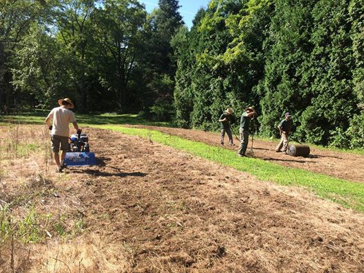 Site preparation for a pollinator meadow in Worthington MA