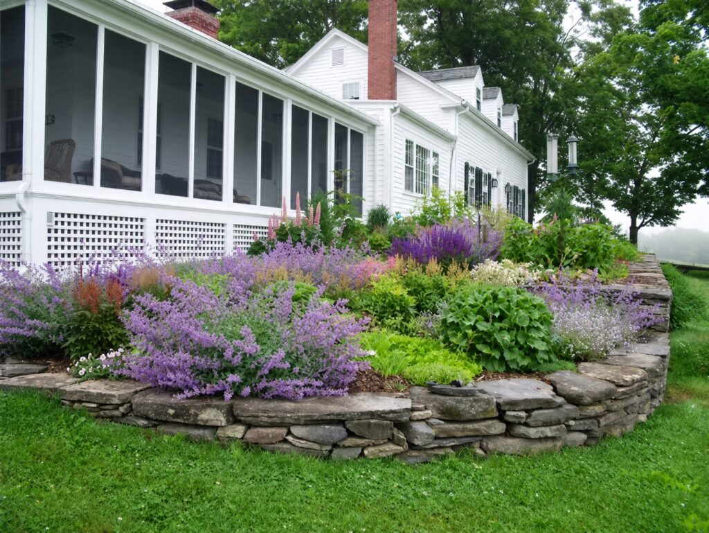 Cottage garden with pink and purple perennials beside a white farmhouse and Goshen stone wall